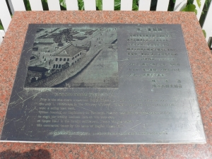 DSCF1954